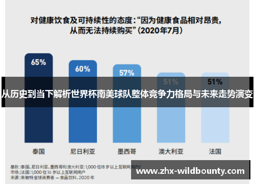 从历史到当下解析世界杯南美球队整体竞争力格局与未来走势演变 从历史到当下解析世界杯南美球队整体竞争力格局与未来走势演变