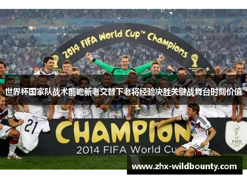世界杯国家队战术前瞻新老交替下老将经验决胜关键战舞台时刻价值 世界杯国家队战术前瞻新老交替下老将经验决胜关键战舞台时刻价值